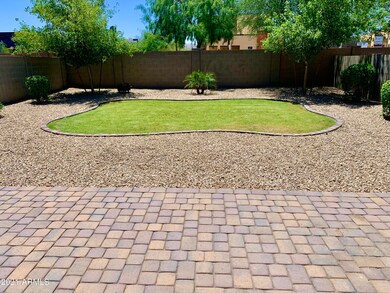 Backyard 1