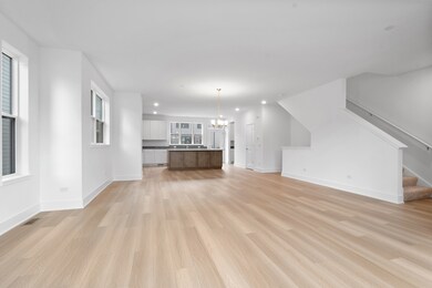 unlisted-address, Morton Grove, IL 60053 - photo 6