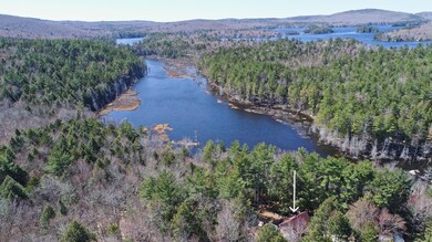 Mann Bog with Phillips Lake behind