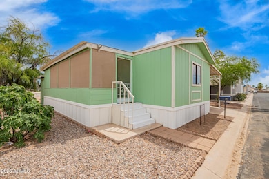 2 - Cottonwood