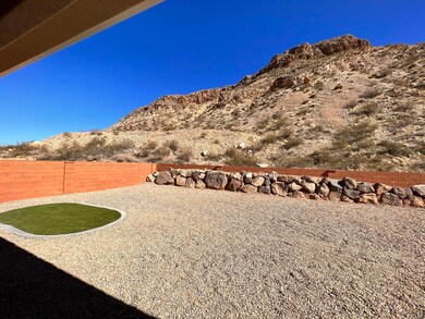 Backyard (3)