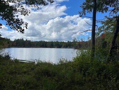 102 Collins Pond Rd, Fitzwilliam, NH 03447 - photo 6