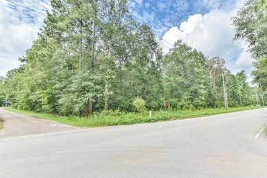 TBD Midline, Cleveland, TX 77328 - photo 7