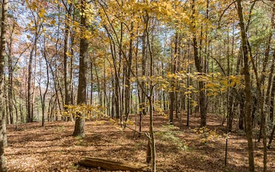 2 TR Old Anderson Creek, Ellijay, GA 30536 - photo 6