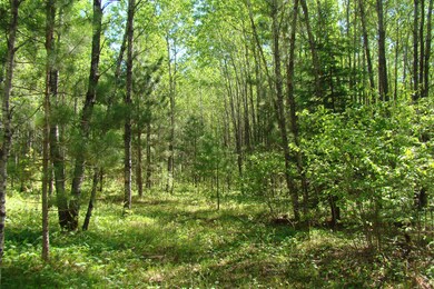 0 Burrows Lake Rd, Little Rice, WI 54487 - photo 4