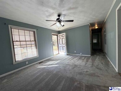 107 Aster Dr, Greer, SC 29651 - photo 4