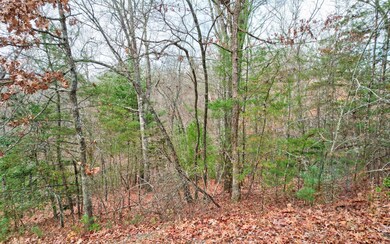 Additional View