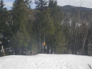 2 Remington Rd, Thornton, NH 03285 - photo 3