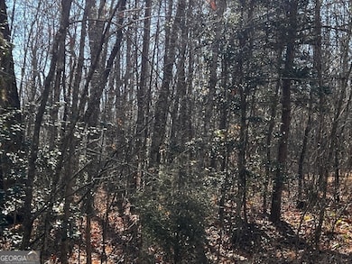 1200 Roy Powers Rd, Cleveland, GA 30528 - photo 3