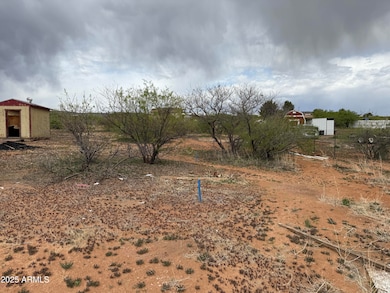 Street south area toward back of propert