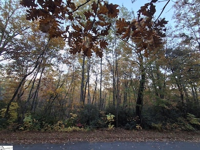 0 Eastview Dr, Pickens, SC 29671 - photo 5