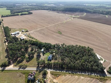 2156 County Road 78, Dixie, GA 31629 - photo 4