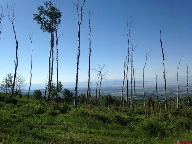 25889 Highway 65, Cedaredge, CO 81413 - photo 7