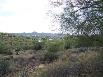 view from lot