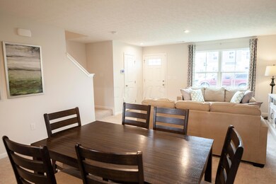 4 SaltSpring_023