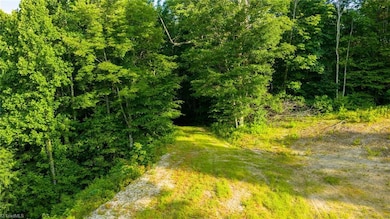 TBD 3 Big Laurel Rd, Creston, NC 28615 - photo 6