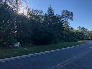 82 Foxcreek Blvd, Brunswick, GA 31523 - photo 2