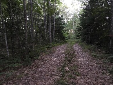 Driveway leading into property