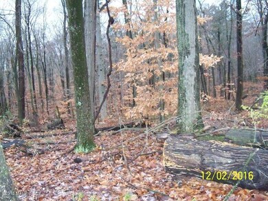 100_2412 Boot lake 1
