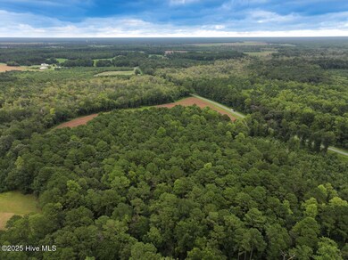 0 Stocking Head Rd, Greenevers, NC 28458 - photo 7