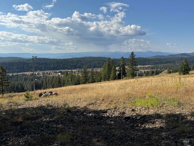 View of mountain background featuring a forest