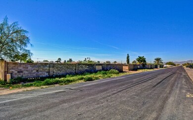 Ocotillo (1)