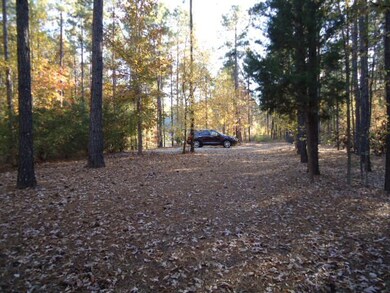 1 Lee Road 2117, Salem, AL 36874 - photo 3