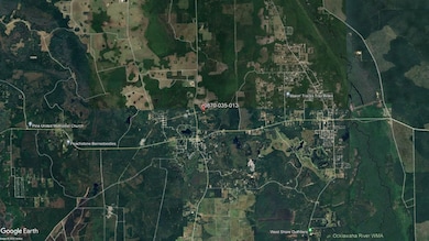 Fort Mc Coy unit FL 32134, Fort McCoy, FL 32134 - photo 7