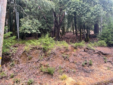 1817 Clover Dr, Brooktrails, CA 95490 - photo 2