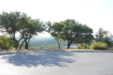 23711 Verona Canyon, San Antonio, TX 78255 - photo 5