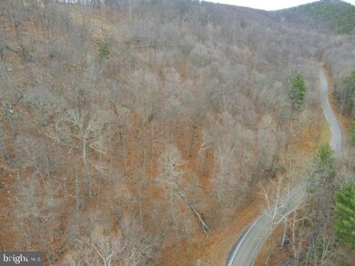 164 S Branch Rd, Moorefield, WV 26836 - photo 4