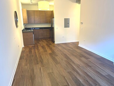 873 N Larrabee St unit 207, Chicago, IL 60610 - photo 6