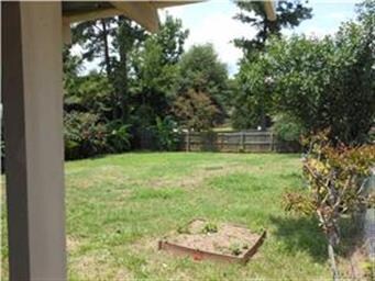 Backyard view 1