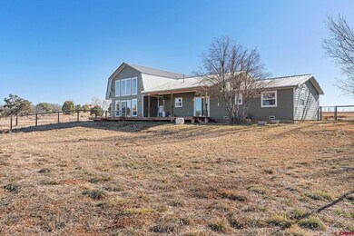 1155 County Road 301, Durango, CO 81303 - photo 4