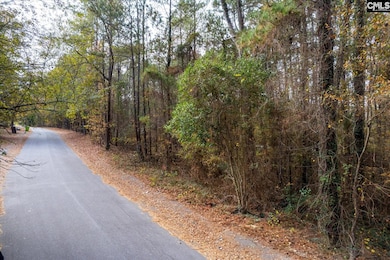 0000 Herbert St, Columbia, SC 29205 - photo 3