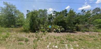45705 Georgia St, Lake Kathryn, FL 32767 - photo 2