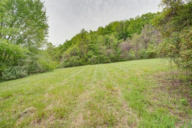 367 Watauga Rd, Watauga, TN 37694 - photo 5