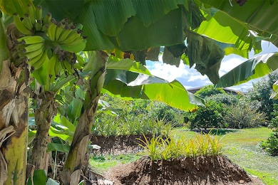 0 Mapuana Ave unit 726139, Pahoa, HI 96778 - photo 6