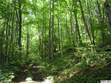 unlisted-address, Burnsville, NC 28714 - photo 7