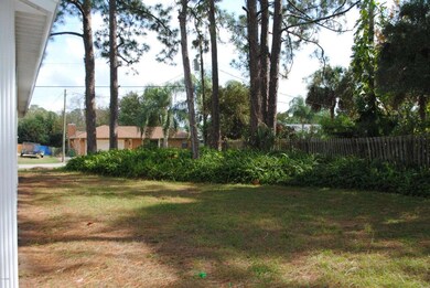 back yard