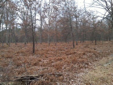 6623 Beaver Rd, Lilley Township, MI 49309 - photo 2