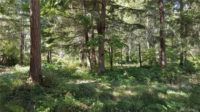 14633 Regal Ln SE, Yelm, WA 98597 - photo 4