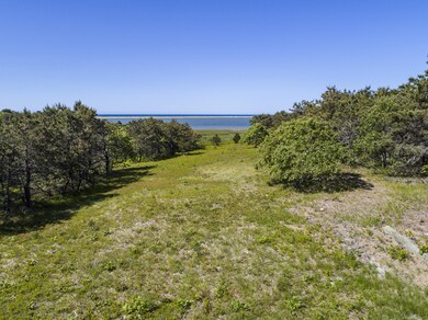 7 Sand Plain Way, Edgartown, MA 02539 - photo 6