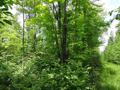 NEAR Hwy 86, Tomahawk, WI 54487 - photo 2