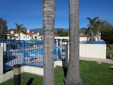 Central Pool and Greenbelt Area