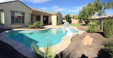 backyard 2