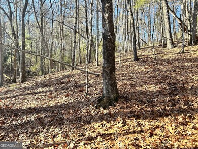 0 Bahn Innsbruck unit 10656187, Helen, GA 30545 - photo 2