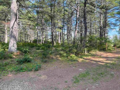 16 Red Barron Rd, West Ossipee, NH 03890 - photo 5