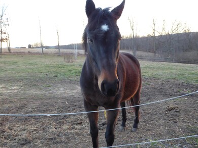 14735 State Route 405, Watsontown, PA 17777 - photo 2