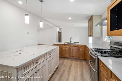 161 James Cir, Carbondale, CO 81623 - photo 3